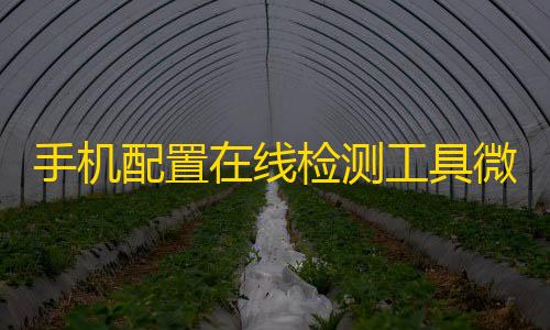 暗区公益直装科技免root手机配置在线检测工具微信小程序源码